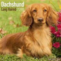 Dachshund Longhaired Calendar 2018