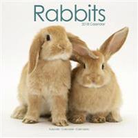 Rabbits Calendar 2018