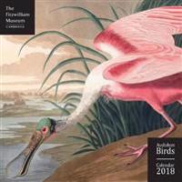 Fitzwilliam Museum - Audubon Birds Wall Calendar 2018 (Art Calendar)
