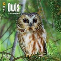 Owls 2018 Calendar