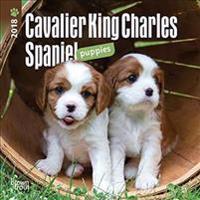 Cavalier King Charles Spaniel Puppies 2018 Calendar