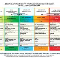 Autonomic Nervous System Table