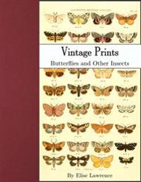 Vintage Prints: Butterflies and Other Insects