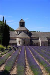 Lavender in the Garden of the Abbey de Senanque in Provance France Journal: 150 Page Lined Notebook/Diary