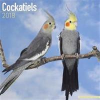 Cockatiels Calendar 2018