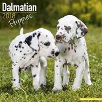Dalmatian Puppies Calendar 2018