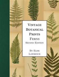 Vintage Botanical Prints: Ferns: Second Edition