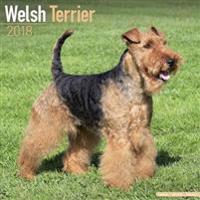 Welsh Terrier Calendar 2018