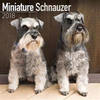 Miniature Schnauzer Calendar 2018