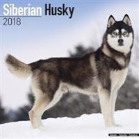 Siberian Husky Calendar 2018