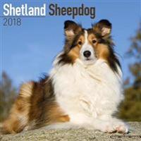 Shetland Sheepdog Calendar 2018