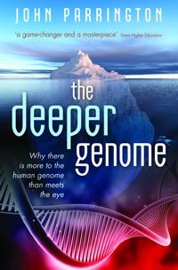 The Deeper Genome: Why There Is More to the Human Genome Than Meets the Eye