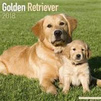 Golden Retriever Calendar 2018
