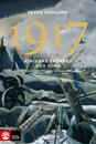 1917 Stridens skönhet och sorg : Första världskrigets fjärde år i 108 korta