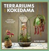 Terrariums & Kokedama