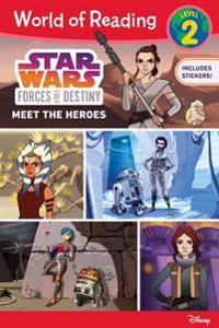 Star Wars Forces of Destiny: Meet the Heroes