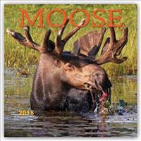 Moose 2018 Calendar