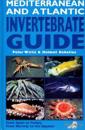 Mediterranean and Atlantic Invertebrate Guide