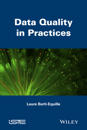 Data Quality in Practices