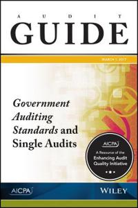 Audit Guide