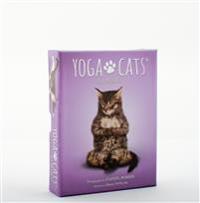 Yoga Cats Deck & Book Set