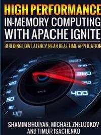 High Performance in-Memory Computing with Apache Ignite
