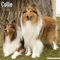 Collie Calendar 2018