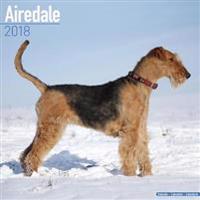 Airedale Calendar 2018