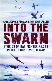 Into the Swarm: Stories of RAF Fighter Pilots in the Second World War