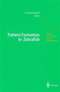 Pattern Formation in Zebrafish