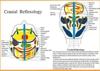 Cranial Reflexology -- A4