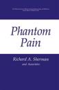 Phantom Pain