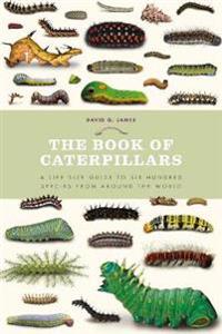 Book of caterpillars - a life-size guide to six hundred species from around