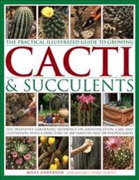 The Practical Illustrated Guide to Growing Cacti & Succulents