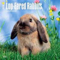 2018 Lop Eared Rabbits Wall Calendar