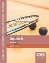 DS Performance - Strength & Conditioning Training Program for Squash, Stability, Advanced