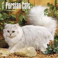 2018 Persian Cats Wall Calendar