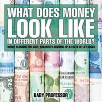 What Does Money Look Like in Different Parts of the World? - Money Learning for Kids - Children's Growing Up & Facts of Life Books