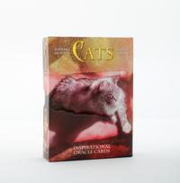 Cats Inspirational Oracle Cards