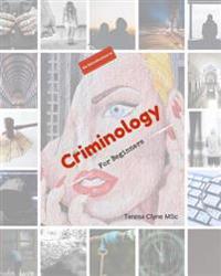 A Beginners Guide to Criminology: An Introduction to Criminology