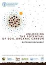 Unlocking the potential of soil organic carbon - outcome document