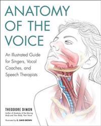 Anatomy Of The Voice