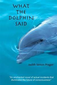 What the Dolphin Said: On the Future of Humankind