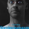 Stenbergamannen : en roman med verklighetsbakgrund