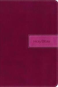 NIV, Gift Bible, Imitation Leather, Pink, Indexed, Red Letter Edition