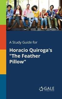 A Study Guide for Horacio Quiroga's the Feather Pillow