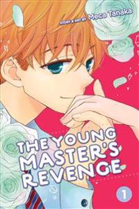 The Young Master's Revenge 1