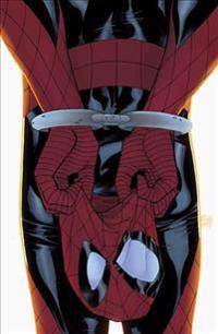 Peter Parker: The Spectacular Spider-Man 2