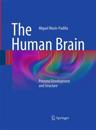 The Human Brain