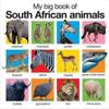 My Big book of South African Animals